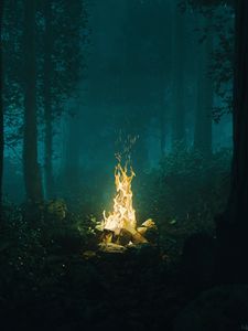 Preview wallpaper forest, bonfire, fire, light, dark