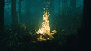 Preview wallpaper forest, bonfire, fire, light, dark