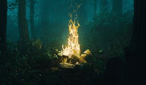 Preview wallpaper forest, bonfire, fire, light, dark