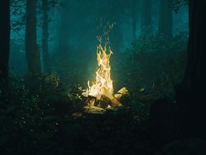 Preview wallpaper forest, bonfire, fire, light, dark