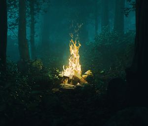 Preview wallpaper forest, bonfire, fire, light, dark