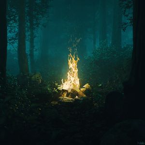 Preview wallpaper forest, bonfire, fire, light, dark