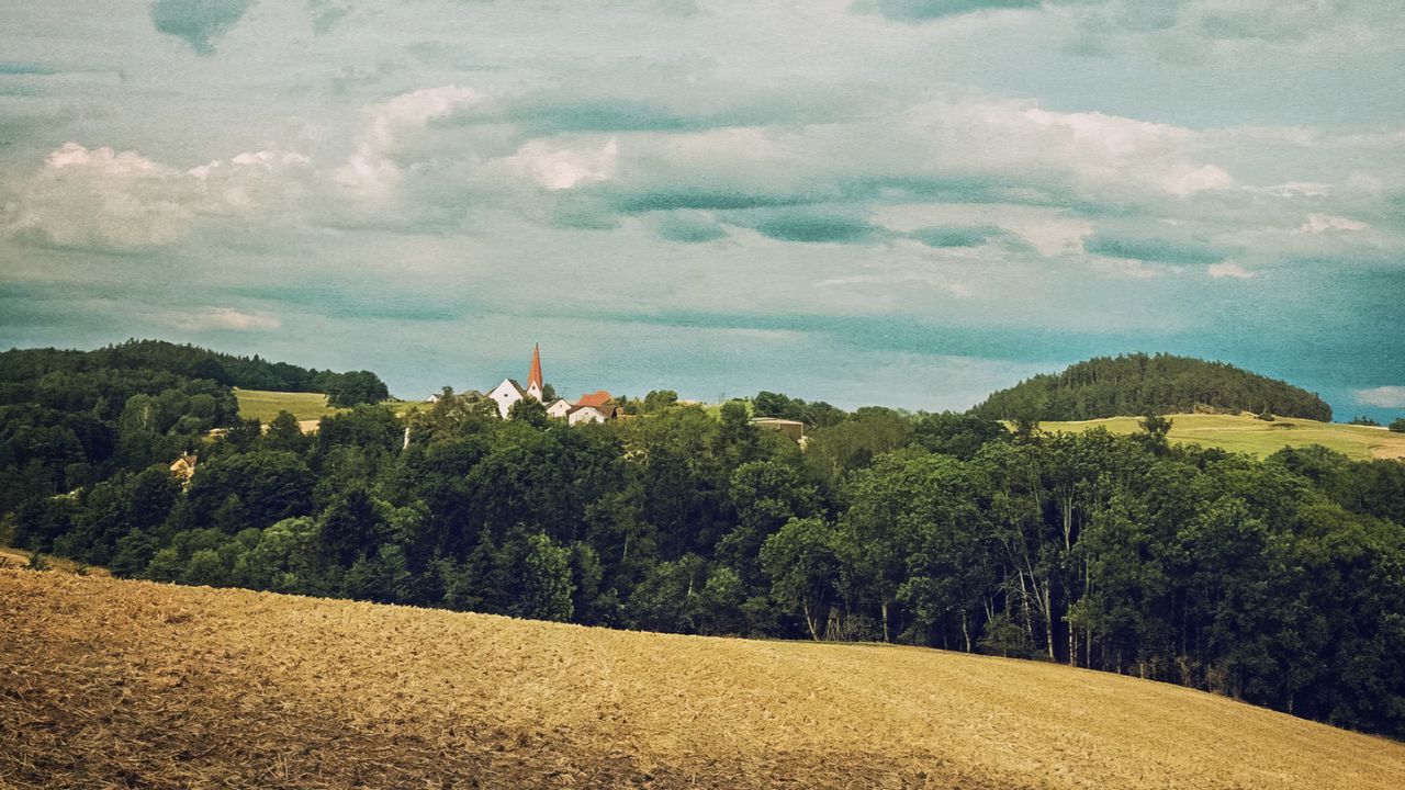 Wallpaper forest, buildings, sky, nature