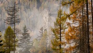 Preview wallpaper forest, castle, fog, hill, autumn