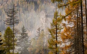 Preview wallpaper forest, castle, fog, hill, autumn