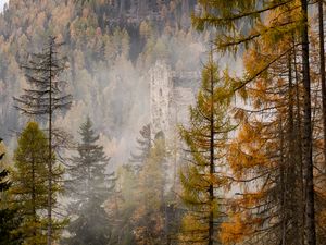 Preview wallpaper forest, castle, fog, hill, autumn