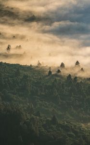 Preview wallpaper forest, clouds, aerial view, fog, height
