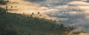 Preview wallpaper forest, clouds, aerial view, fog, height