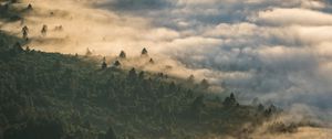 Preview wallpaper forest, clouds, aerial view, fog, height