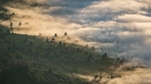Preview wallpaper forest, clouds, aerial view, fog, height