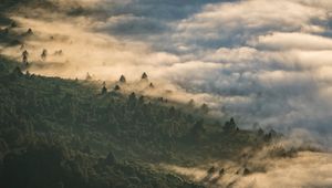 Preview wallpaper forest, clouds, aerial view, fog, height