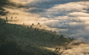 Preview wallpaper forest, clouds, aerial view, fog, height