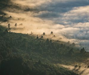 Preview wallpaper forest, clouds, aerial view, fog, height