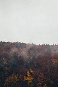 Preview wallpaper forest, clouds, autumn, nature