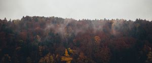 Preview wallpaper forest, clouds, autumn, nature