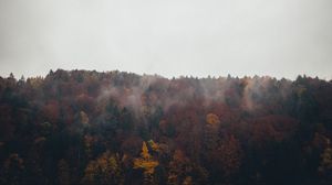 Preview wallpaper forest, clouds, autumn, nature