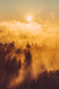 Preview wallpaper forest, clouds, rays, sun, nature, aerial view