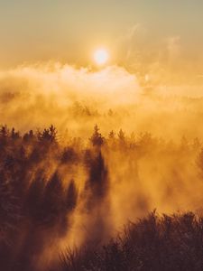 Preview wallpaper forest, clouds, rays, sun, nature, aerial view