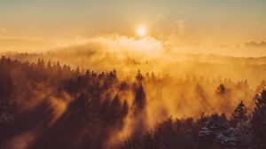 Preview wallpaper forest, clouds, rays, sun, nature, aerial view