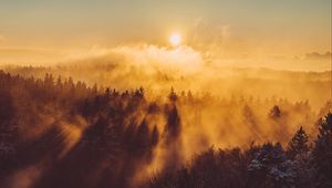 Preview wallpaper forest, clouds, rays, sun, nature, aerial view