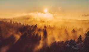 Preview wallpaper forest, clouds, rays, sun, nature, aerial view