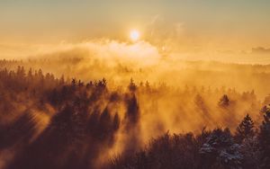 Preview wallpaper forest, clouds, rays, sun, nature, aerial view