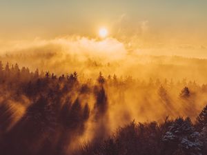 Preview wallpaper forest, clouds, rays, sun, nature, aerial view