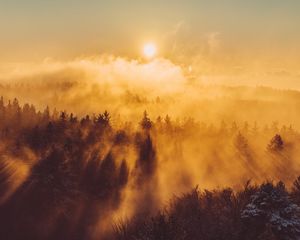 Preview wallpaper forest, clouds, rays, sun, nature, aerial view