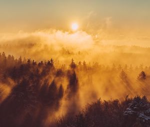 Preview wallpaper forest, clouds, rays, sun, nature, aerial view