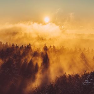 Preview wallpaper forest, clouds, rays, sun, nature, aerial view