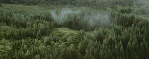 Preview wallpaper forest, coniferous, aerial view, hills, trees, clouds