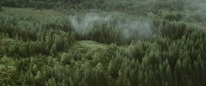 Preview wallpaper forest, coniferous, aerial view, hills, trees, clouds