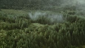 Preview wallpaper forest, coniferous, aerial view, hills, trees, clouds