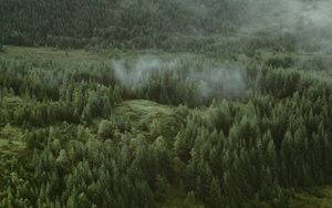 Preview wallpaper forest, coniferous, aerial view, hills, trees, clouds