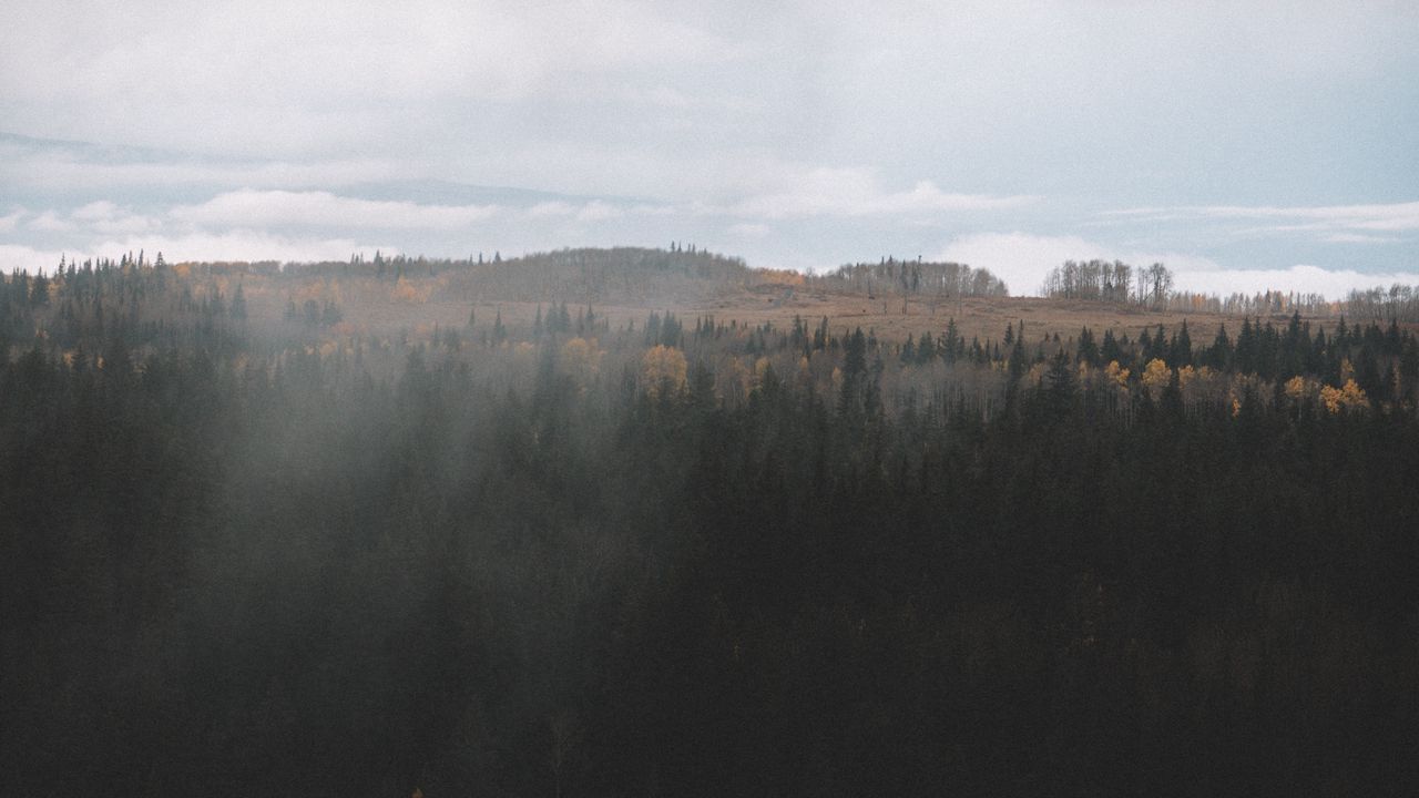 Wallpaper forest, dark, aerial view, clouds, landscape