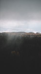 Preview wallpaper forest, dark, aerial view, clouds, landscape
