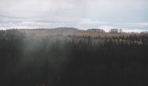 Preview wallpaper forest, dark, aerial view, clouds, landscape