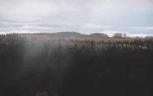 Preview wallpaper forest, dark, aerial view, clouds, landscape