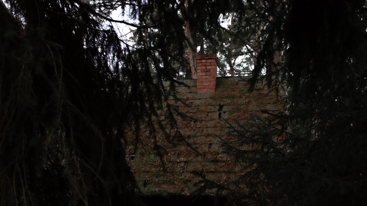 Wallpaper forest, dark, hut, old, trees