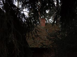 Preview wallpaper forest, dark, hut, old, trees