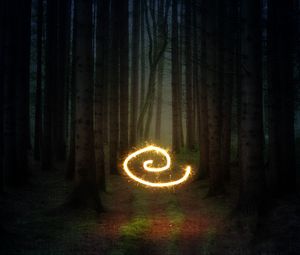 Preview wallpaper forest, dark, spiral, light, illusion