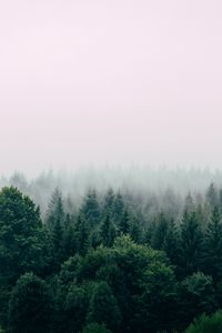 Preview wallpaper forest, fog, aerial view, trees, sky