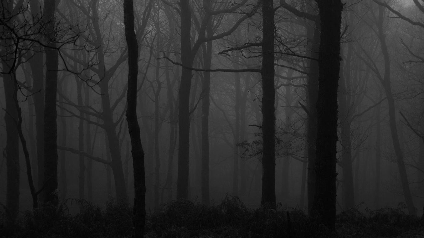forest_fog_bw_157928_1366x768.jpg