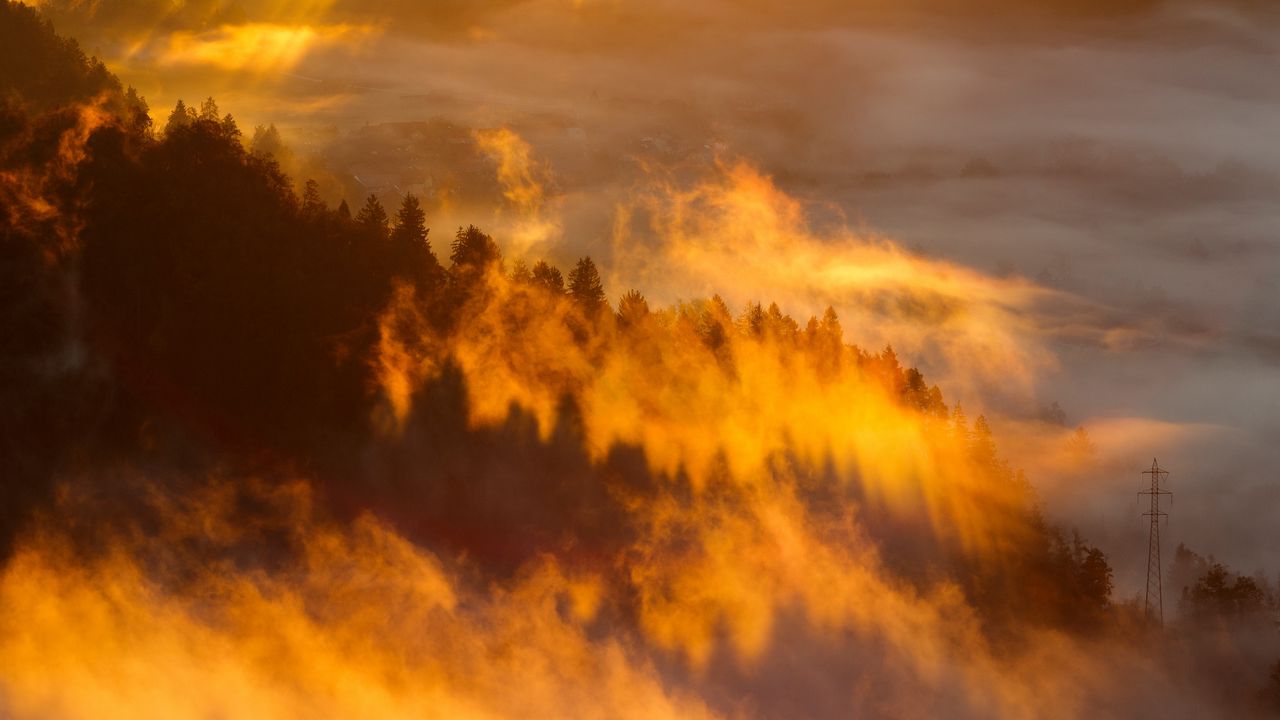 Wallpaper forest, fog, clouds, trees, slope