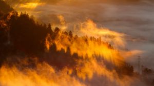 Preview wallpaper forest, fog, clouds, trees, slope