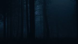 Preview wallpaper forest, fog, dark, trees, gloom