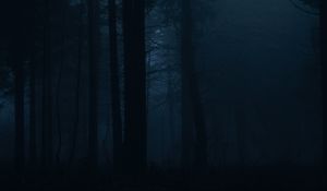 Preview wallpaper forest, fog, dark, trees, gloom