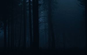 Preview wallpaper forest, fog, dark, trees, gloom