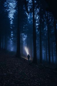 Preview wallpaper forest, fog, dark, man, flashlight