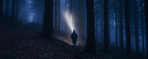 Preview wallpaper forest, fog, dark, man, flashlight